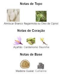 Pirâmide Olfativa (Nosso Produto)